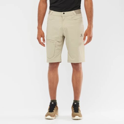 Khaki Salomon Wayfarer Men's Shorts | PH 12796W